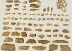 Gefundene Knochenfragmente aus der Altsteinzeit