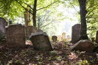 Jüdischer Friedhof Schopfloch, westlicher Teil Jüdischer Friedhof Schopfloch, westlicher Teil
