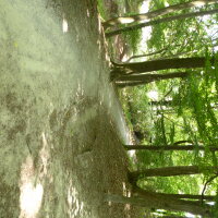 Weg im Finanzgarten Weg im Finanzgarten